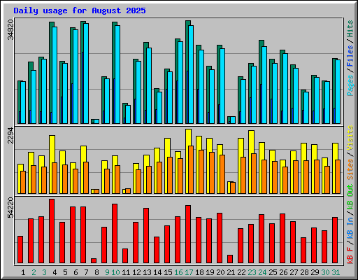 Daily usage for August 2025