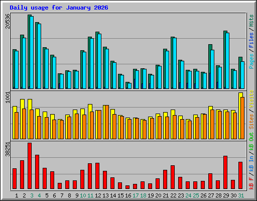 Daily usage for January 2026