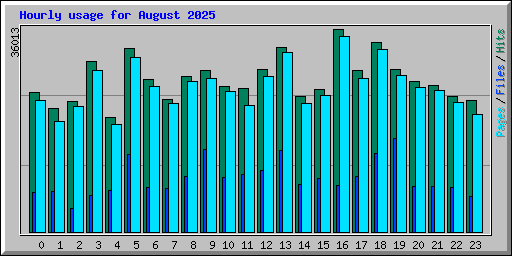 Hourly usage for August 2025