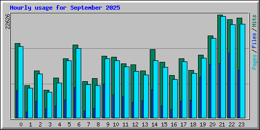 Hourly usage for September 2025