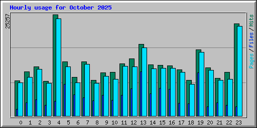 Hourly usage for October 2025