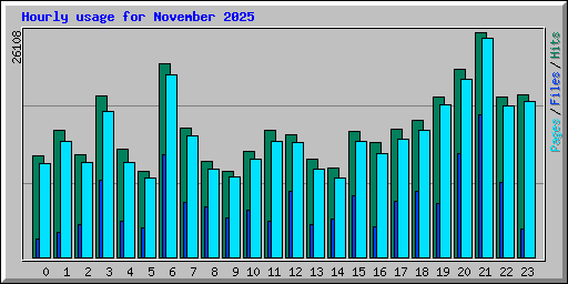Hourly usage for November 2025