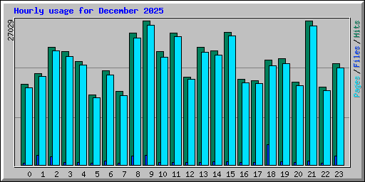 Hourly usage for December 2025