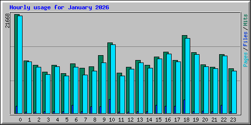 Hourly usage for January 2026