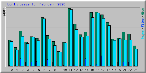 Hourly usage for February 2026