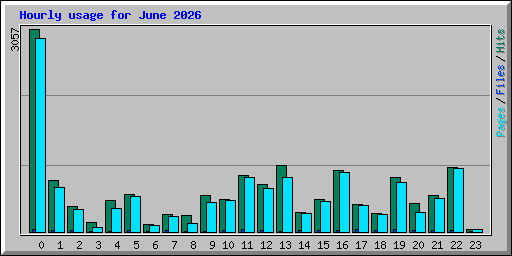 Hourly usage for June 2026